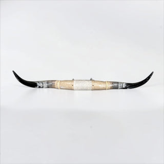 4.6ft Longhorn mount (d17)