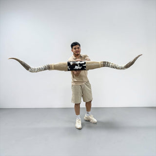 5-6ft Longhorn mount (f50)