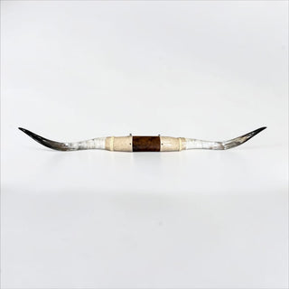5.9ft Longhorn mount (d13)