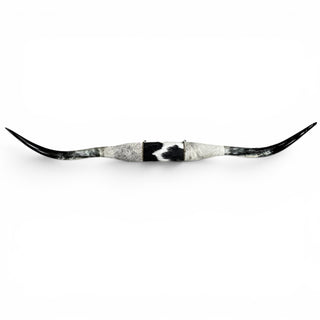 6.7ft Longhorn mount (p25)