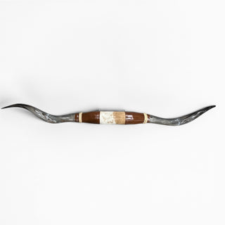 5.5’ Longhorn mount (k02)