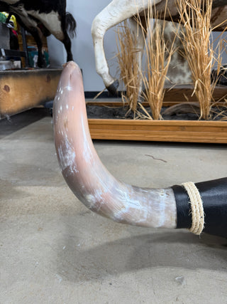 4.2’ Longhorn mount (KK02)