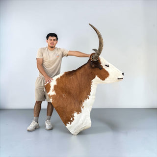 Longhorn shoulder mount