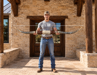 5.5ft Longhorn mount (g4)