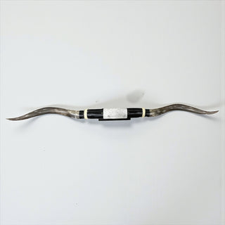 (P) Longhorn mount 5.6’