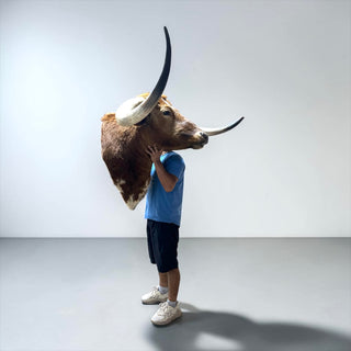 6ft tip to tip longhorn mount