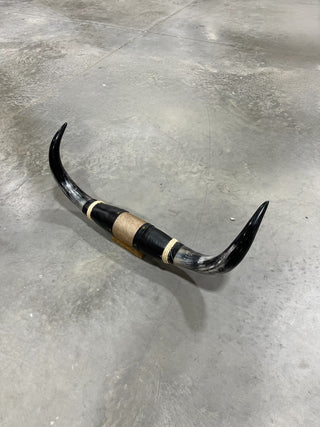 2.9ft Longhorn mount (f12)