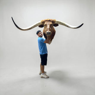 6ft tip to tip longhorn mount