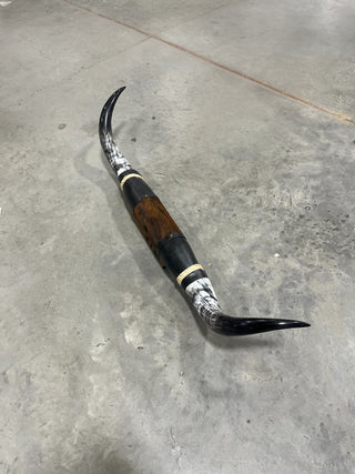 5-6ft Longhorn mount (f8)