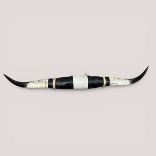 3.1’ Longhorn mount (s4)