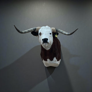 Cow shoulder mount