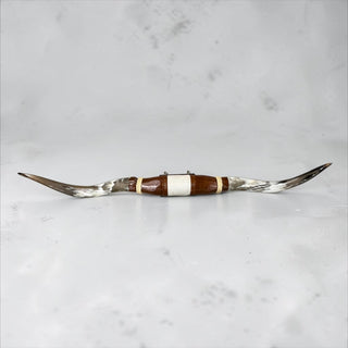 4ft Longhorn mount (c07)