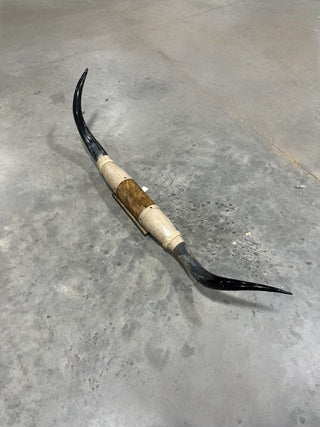 5-6ft Longhorn mount (f2)