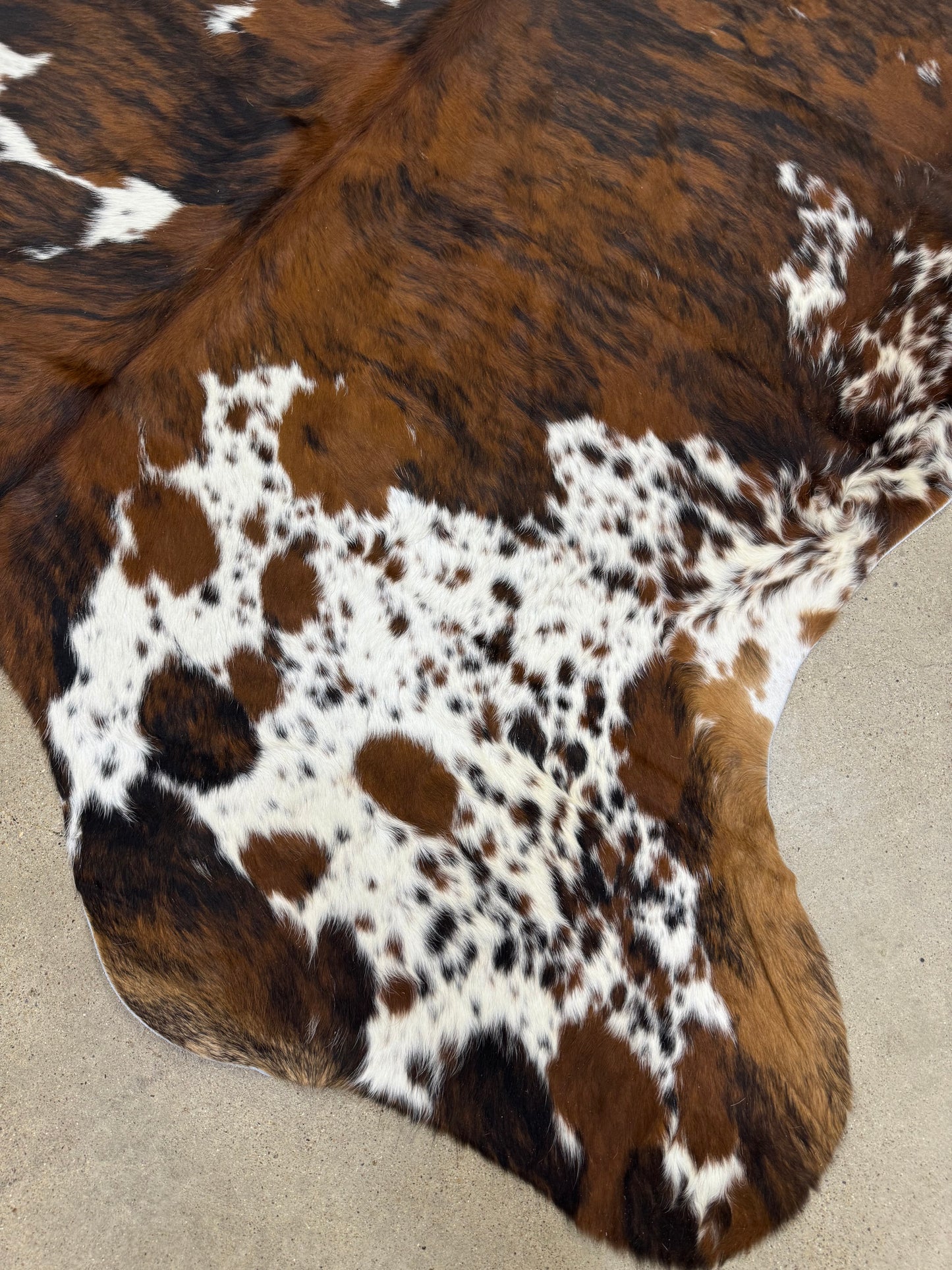 Cowhide of the day - tricolor 6x6’