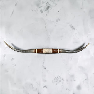 5.5ft Longhorn mount (g4)