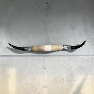 3-4ft Longhorn mount (f31)