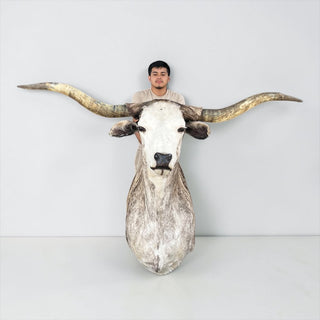 Longhorn shoulder mount