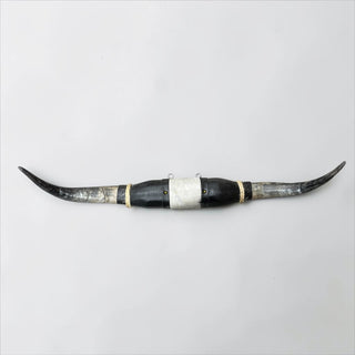 3.5’ Longhorn mount (c17)