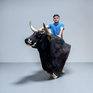 Bull shoulder mount
