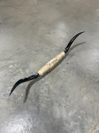 5-6ft Longhorn mount (f9)