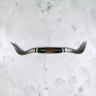 3.10ft Longhorn mount (g5)