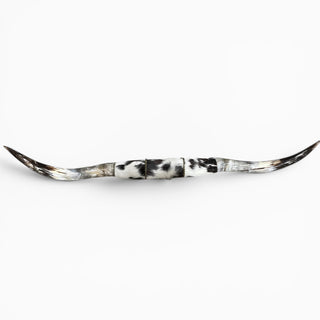 5.5’ Longhorn mount (k11)