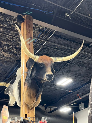 Cow shoulder mount