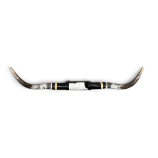 3.11ft Longhorn mount (j02)