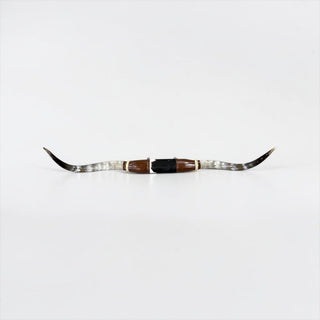 5.9ft Longhorn mount (d08)