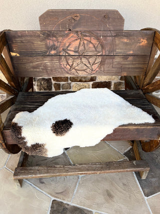 Special 2-3’ shearling sheep (b)