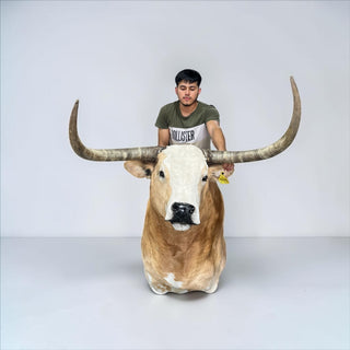 Bull shoulder mount