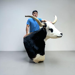 Longhorn shoulder mount