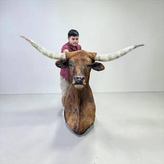 Longhorn shoulder mount