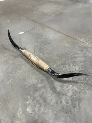 5-6ft Longhorn mount (f9)