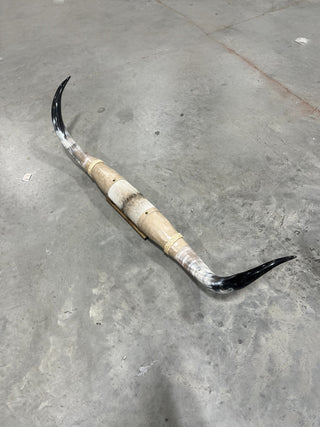 5-6ft Longhorn mount (f10)