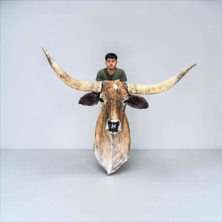 Longhorn shoulder mount