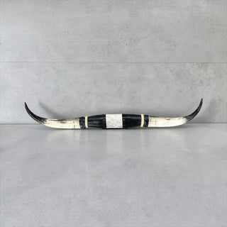 3.3’ Longhorn mount (s1)