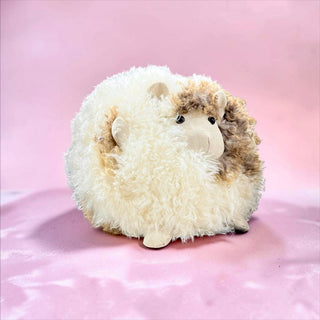 Round sheep