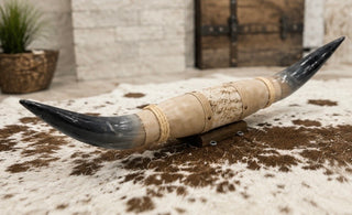 3.1ft Longhorn mount (As03)