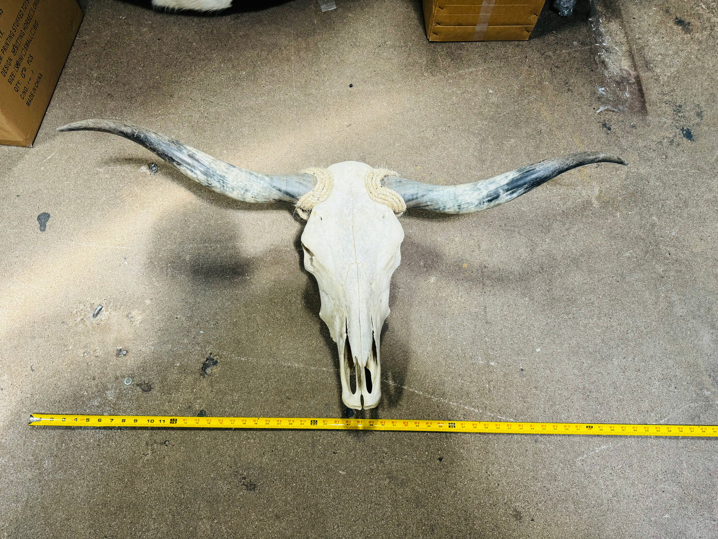 Large Rustic Skull