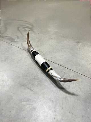 4.4ft Longhorn mount (g1)