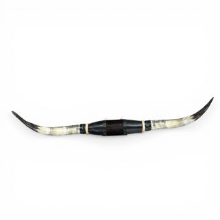 3-4’ Longhorn mount (j10)