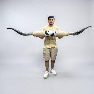 6.7ft Longhorn mount (d03)