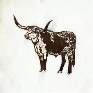 Longhorn cowhide rug