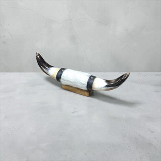 1ft Longhorn mount (d37)