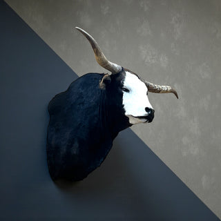 Cow shoulder mount