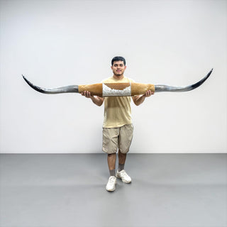 6.6ft Longhorn mount (d05)