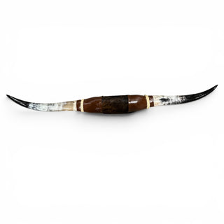 4.10’ Longhorn mount (p21)
