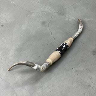 5-6ft Longhorn mount (f50)