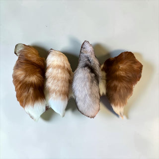 Mutation for tails
